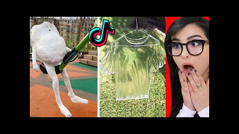 Amazing Things You've Never Seen Before On TikTok