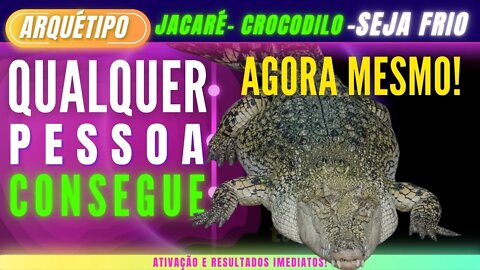 Ative o Arquétipo do Jacaré/Crocodilo e não seja mais feito de bobo - Resultados imediatos