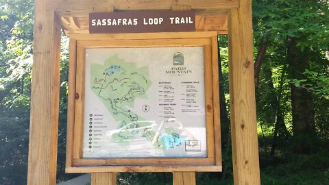 Sassafras Loop Trail