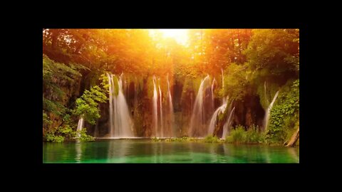 Waterfall Sounds with Birds Chirping in the Forest | Sleep, Relaxation, Meditation, Study