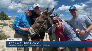 Leadville couple offers burro picnic Airbnb Experience