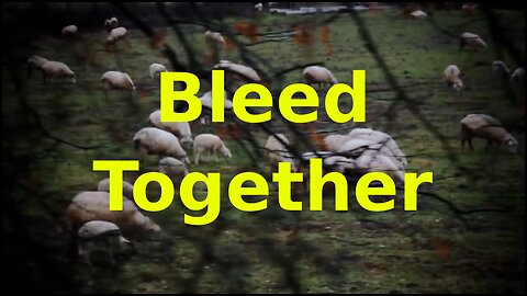 Bleed Together- Soundgarden (Mt 10:16-23)