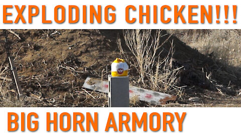 EXPLODING CHICKEN with the 500 AUTO MAX –Big Horn Armory