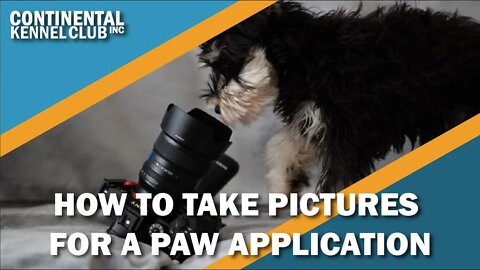 How to Take Pictures for a PAW Application