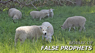 Beware Of False Prophets