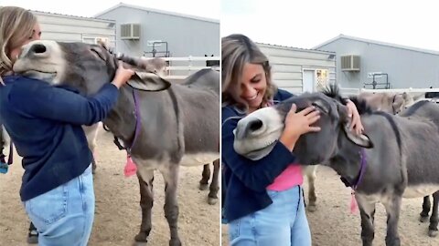 This girl and her Donkey are close friends