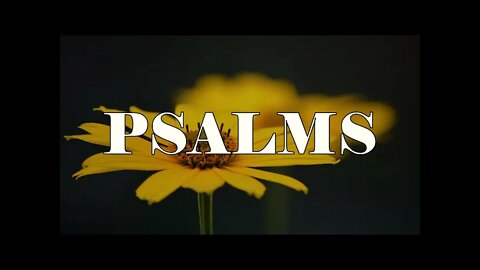 Psalms | 30 Minutes of Christian Instrumental Piano Worship For Prayer (Songs from Shane and Shane)