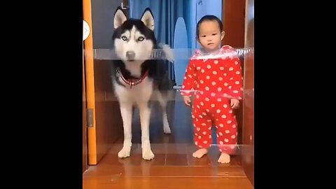 The dog🐈 challenge the boy baby 🧜 jump and go out side