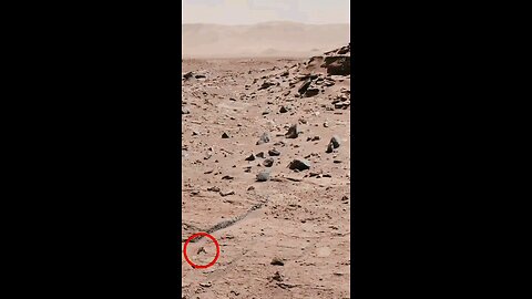 Journey of Mars . . . . #Nasa #mars #planet #Curiosty #follow (ʘᴗʘ✿) Creadit -- Nasa