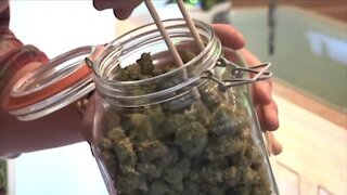 Advocacy groups urge delays, reconsideration during push for recreational pot