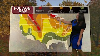 Breaking it Down with Brittney - Fall Colors