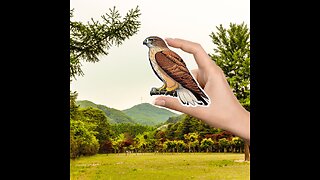 Unique Red Tail Hawk Vinyl Sticker!