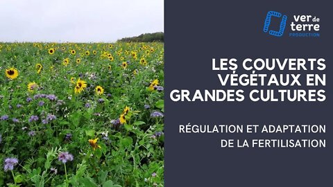 La Galerie du VDT - 6/7 - Les couvert végétaux : Régulation et adaptation de la fertilisation