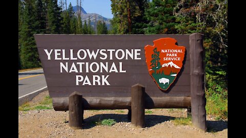 Visiting Yellowstone national park, a few years ago
