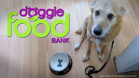 Doggie Food Bank - We Don’t Think Any Dog Should Ever Go To Sleep Hungry