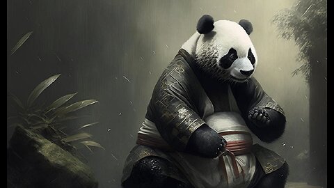 Karate Panda. What the toughest fight in the zoo looks like
