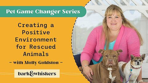 Creating a Positive Environment for Rescued Animals With Molly Goldston