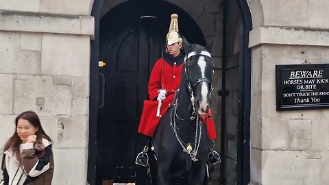 Horse not wanting her touch (get back) #horseguardsparade