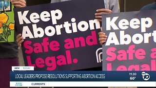 San Diego leaders propose resolutions supporting abortion access
