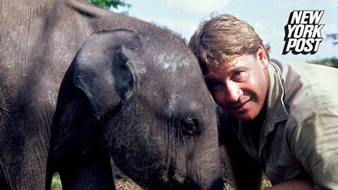 Steve Irwin made 'very, very weird' speech before he died, says 'Crocodile Hunter' pal