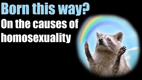 Born this way? On the causes of Homosexuality...