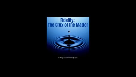 Fidelity: The Crux of the Matter
