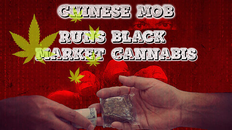 Why is Chinese Organized Crime involved in Black Market Cannabis?