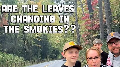 Are The Leaves Changing in the Smoky Mountains Yet?? 👀 🍁 #fallleaves #smokymountains
