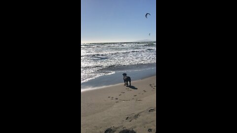 At the beach