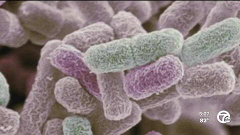 What to know about the multistate E.coli outbreak being investigated by CDC
