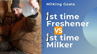 Milking 1st time Freshener Goats| Farm Vlog #Goats #Goatsmilk