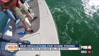 New rules protecting sharks to take effect