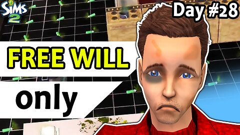 Can Sims 2 Survive 30 ACTUAL Days of FREE WILL?
