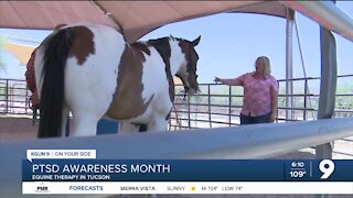 Tucson treatment facility uses horses to treat PTSD