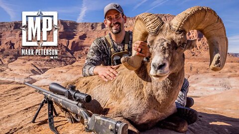 UT Desert Bighorn, Sheep Week 2022 | Mark Peterson Hunting