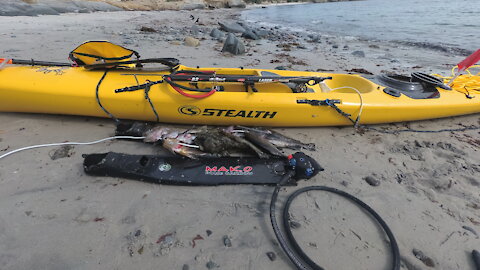 Spearfishing in Carmel with my new Stealth Fusion 480