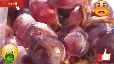 Sulphur Dioxide sprayed on grapes and other fruit