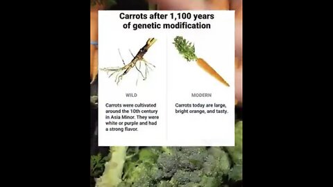 HYBRID-MAN-MADE FOOD MODIFICATIONS🥦🥕🥝🍎SOLD IN GROCERY STORES🏪🛒💫
