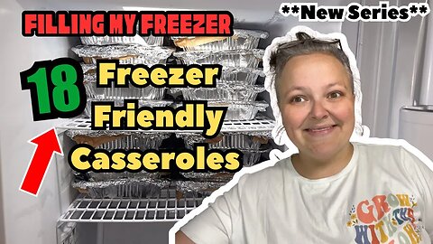 Easy Freezer Meals For Busy Days || Meal Prep & Filling My Freezer || Cheap Family Meals