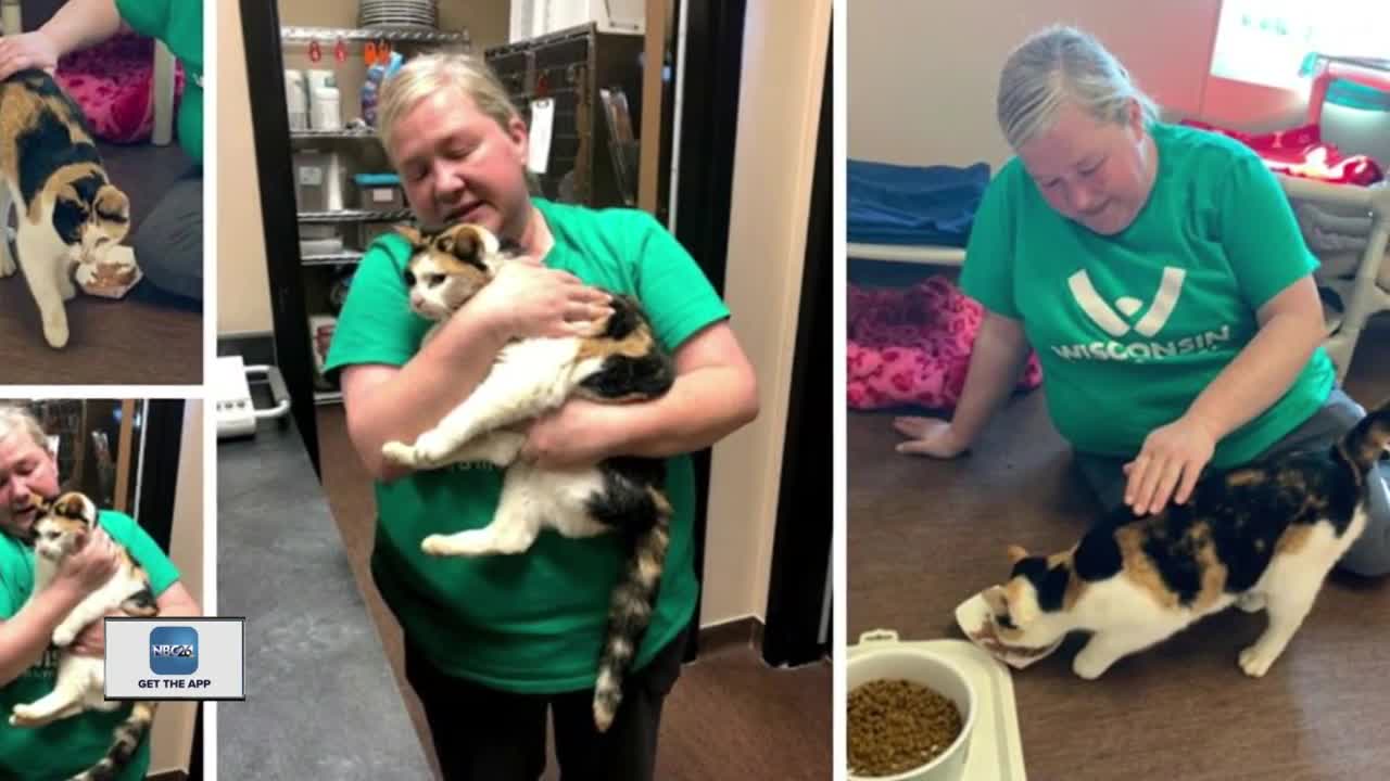 Cat missing for 10 months reunited with Door County animal shelter worker