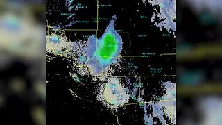 Huge ladybug swarm shows up on weather radar