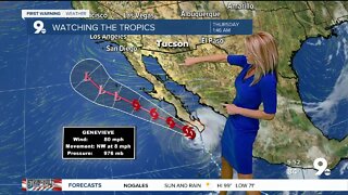 An upswing in moisture brings back rain chances