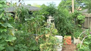 Milwaukee backyard food pantry promoting food justice and equality