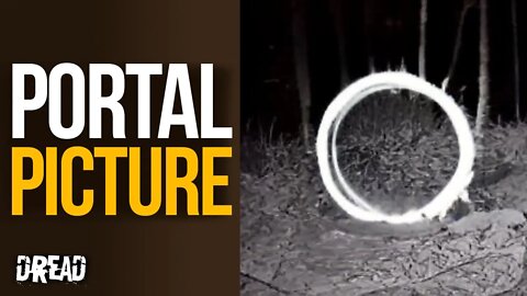 Runner Takes Photo Of PORTAL in WOODS