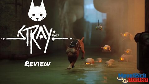 Stray Review!