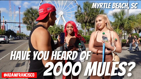 "Have you heard of the documentary 2000 Mules by Dinesh D'Souza?" (Myrtle Beach, SC)