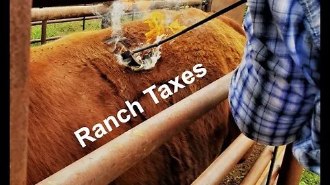 TAXES! Finances on the Hashknife Ranch (In the Chute - Round 125)