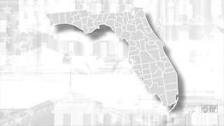Florida's crucial counties to win
