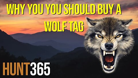 Why You Need to buy a Wolf tag! [Hunt365]