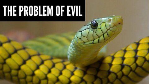 The Problem of Evil: Study 8 - part 1